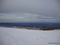 DSC02781