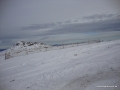 DSC02783