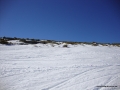 DSC02938