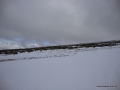 DSC02851
