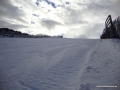 DSC02785