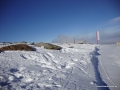DSC02790