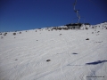 DSC02920