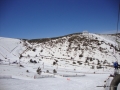 DSC02921