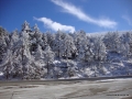 DSC02844