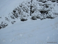 114-1490_IMG.JPG