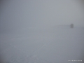 DSC02265.JPG