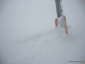 DSC02268.JPG