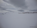 DSC02646