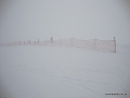 DSC02254.JPG