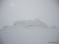 DSC02255.JPG