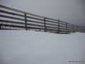 DSC02259.JPG