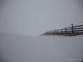 DSC02260.JPG
