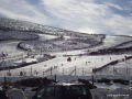 DSC02196