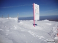 DSC02601