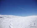 DSC02604