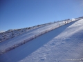 DSC02202