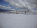 DSC02716
