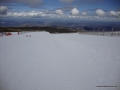 DSC02719