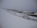 DSC02275.JPG