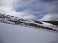 DSC02284.JPG