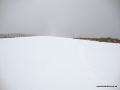 DSC02730