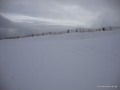 DSC02289.JPG