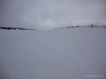 DSC02290.JPG