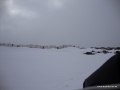 DSC02293.JPG