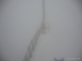 DSC02298.JPG
