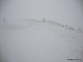 DSC02299.JPG
