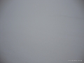 DSC02307.JPG