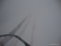 DSC02308.JPG