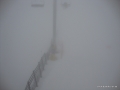 DSC02311.JPG