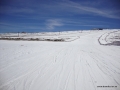 DSC02328.JPG