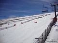 DSC02337.JPG