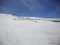 DSC02339.JPG
