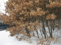 124-2458_IMG
