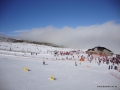 DSC02234.JPG