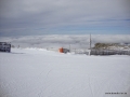 DSC02247.JPG
