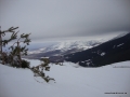 DSC02565