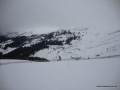 DSC02568