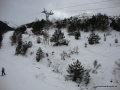 DSC02572-001