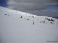 DSC02616