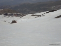 DSC02377.JPG