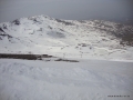 DSC02397.JPG