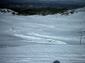 half_snevada.jpg