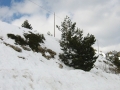 124-2475_IMG