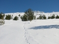 128-2807_IMG