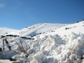 115-1520_IMG.JPG